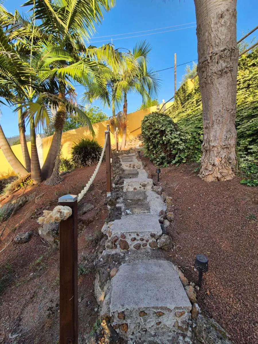 Image 1 of Finca Casa los Dragos