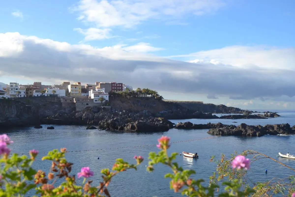 Image 5 of Habitaciones IFAE