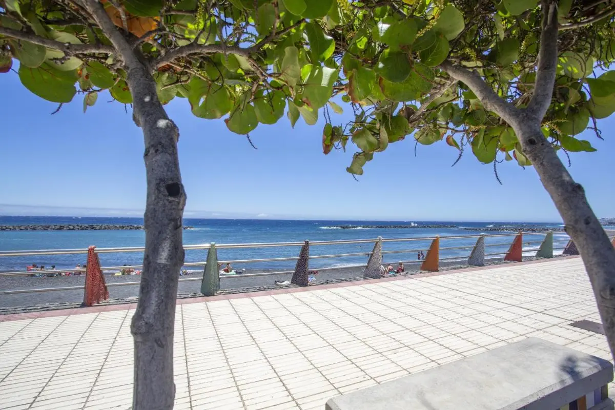 Image 6 of La Octava Isla