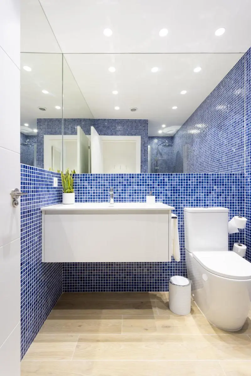 Image 6 of La Tortuga Azul C