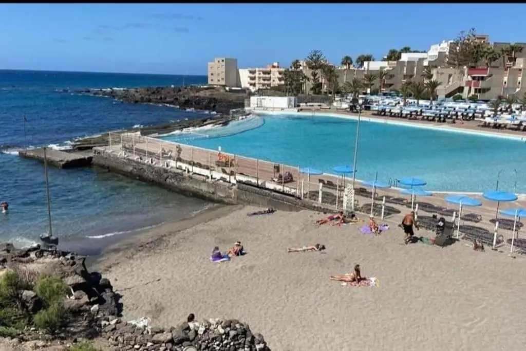 Image 5 of Palm Holiday