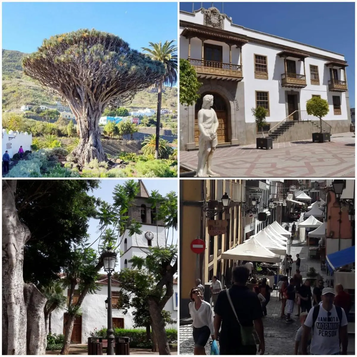 Image 5 of Plaza San Marcos CASCO HISTORICO