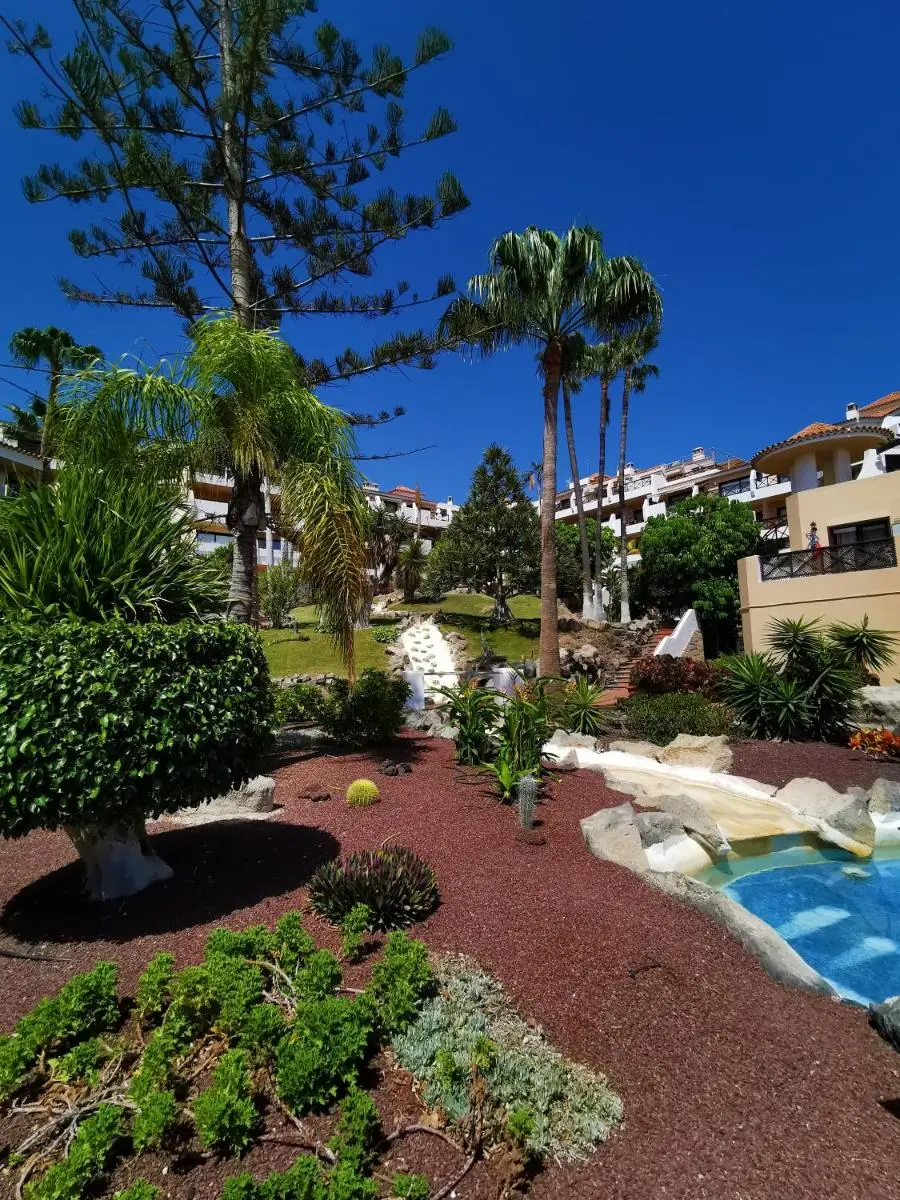 Image 6 of Strelitzia Apartment – ocean view & heated pool