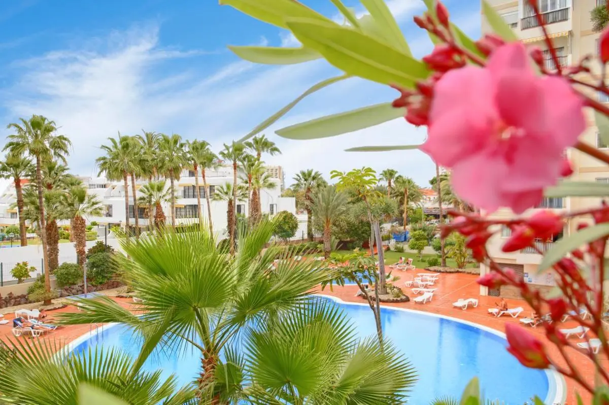 Image 3 of Studio Eldorado in Playa de Las Americas near the beach