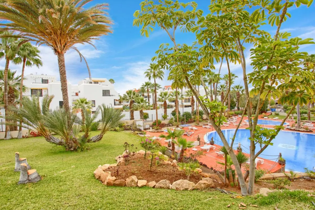 Image 5 of Studio Eldorado in Playa de Las Americas near the beach