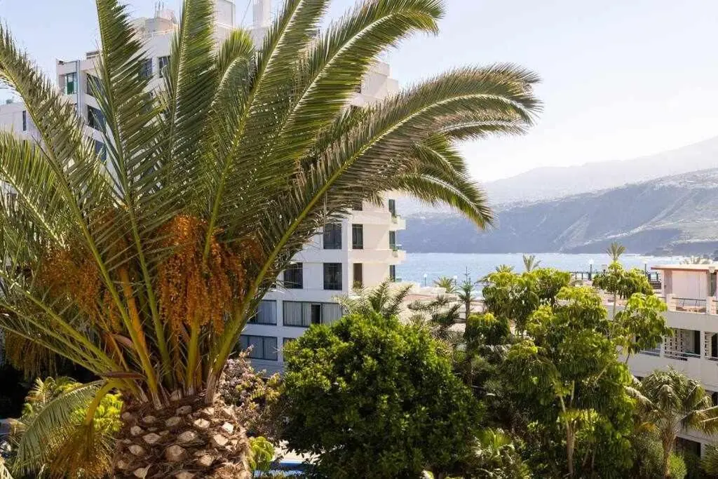 Image 6 of Sunny Island Lago Martianez 5