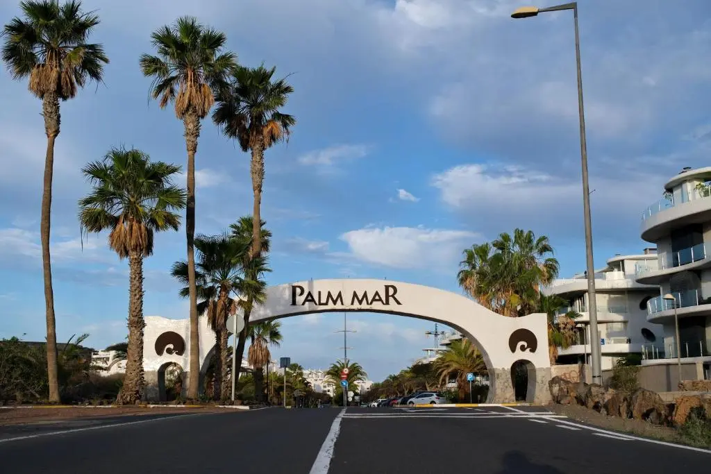 Image of Sweet Caroline Palm-Mar