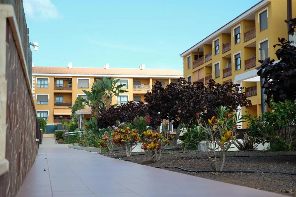 Image 6 of Sweet Caroline Palm-Mar