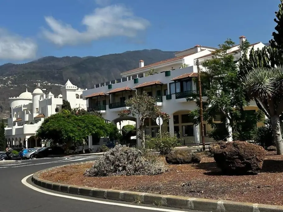 Image 2 of Violetas del Teide