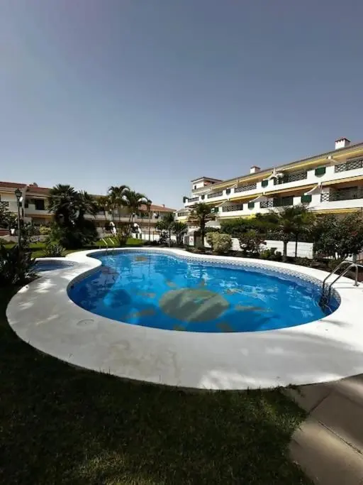 Image 5 of Violetas del Teide