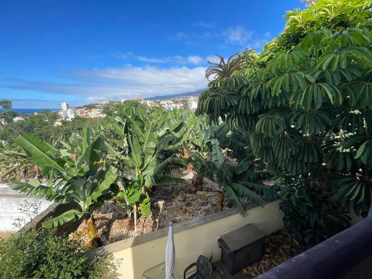 Image 1 of apartamento Vistamar