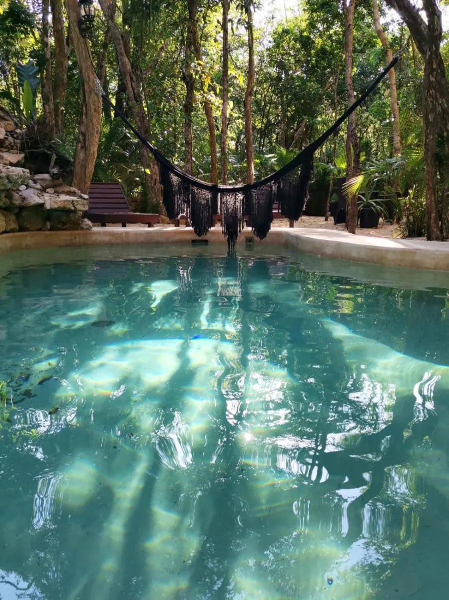 Image 4 of Agua & Selva luxury Jungle loft