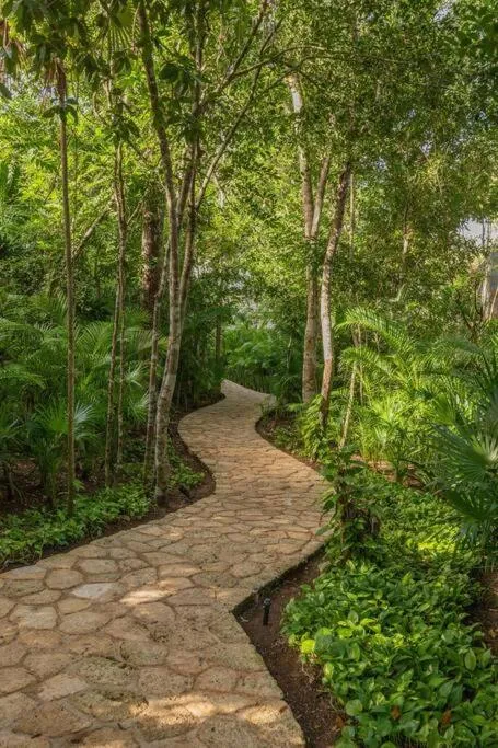 Image 3 of Amazing PH Private rooftop Private Cenote