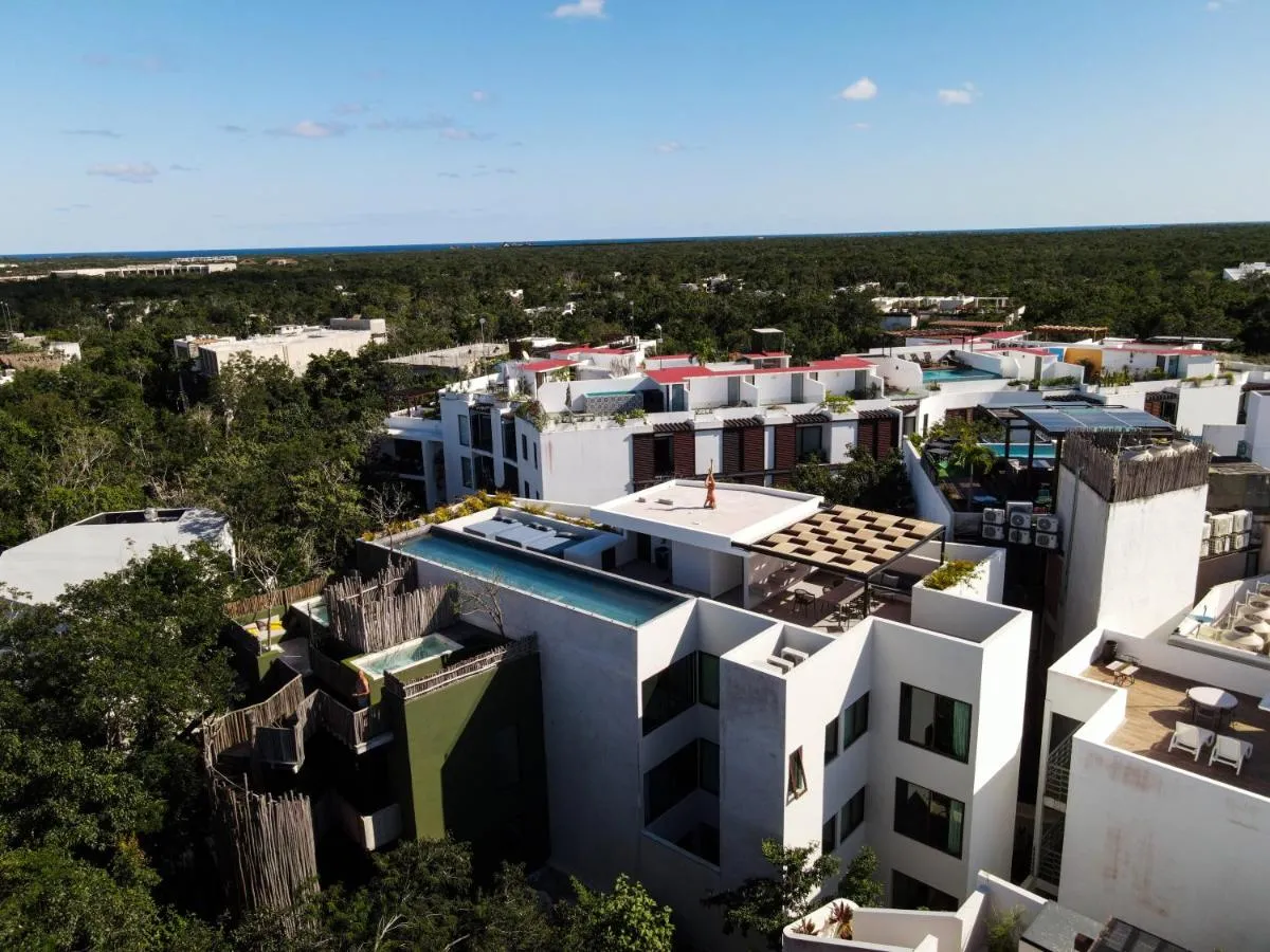 Image 4 of Azalea by Zamá Homes