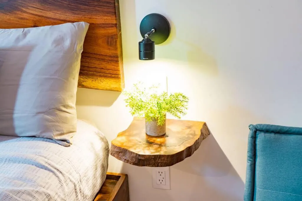 Image 6 of Beach Access! Armony studio in Aldea Zama