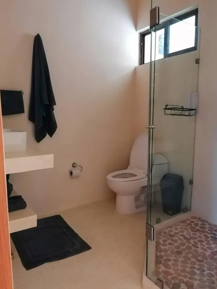 Image 3 of Belche 101