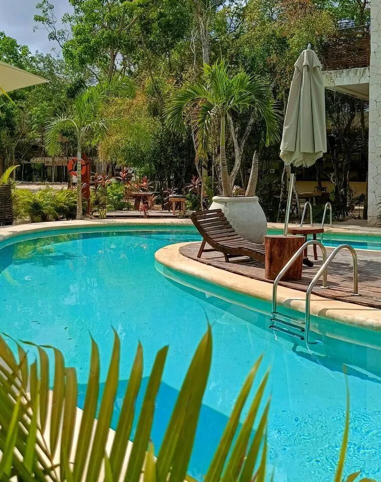 Image 6 of Belche 101