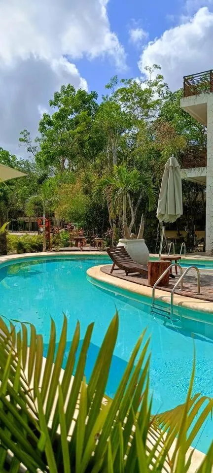 Image 6 of Belche 103