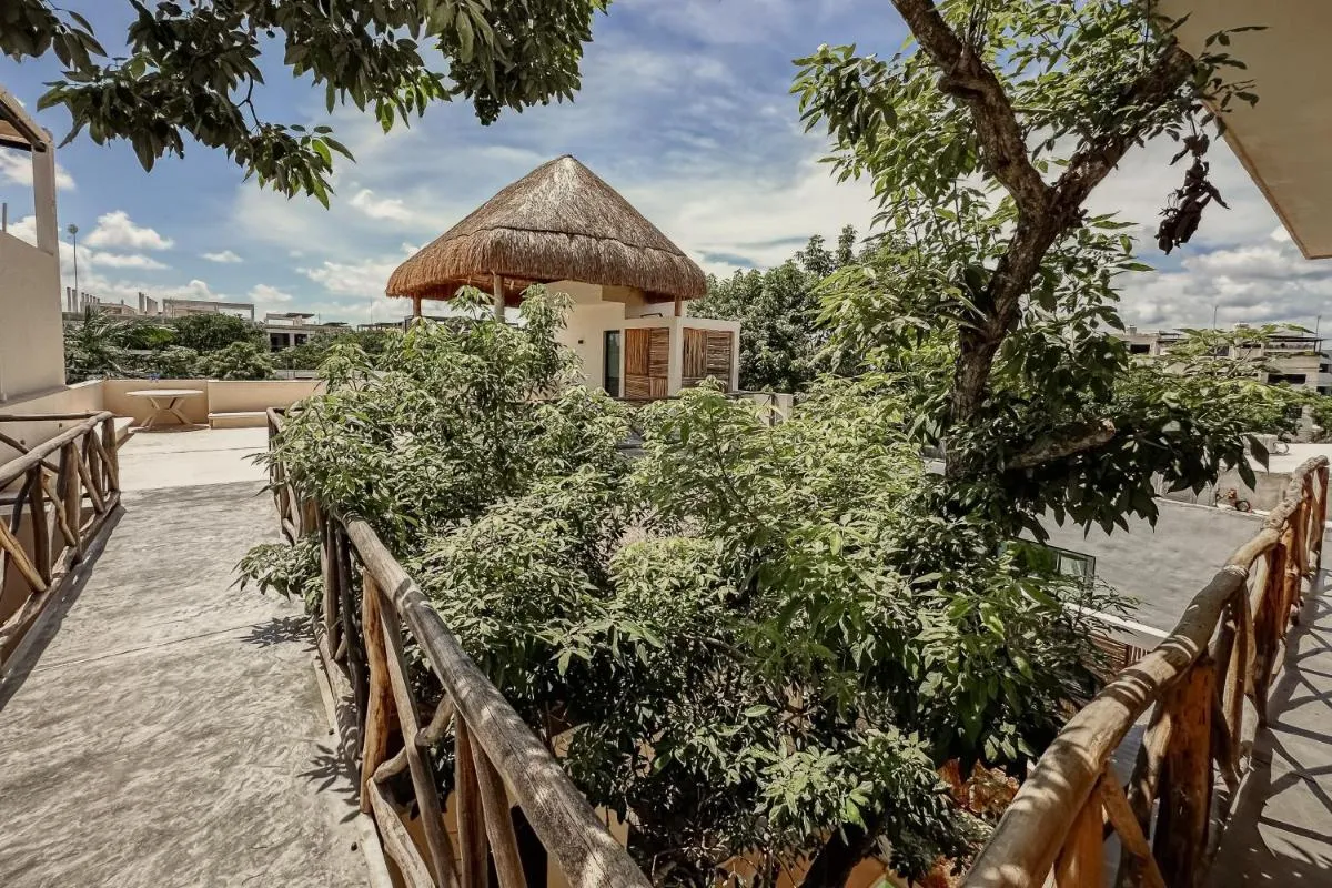 Image 6 of Casa Kobaab Tulum