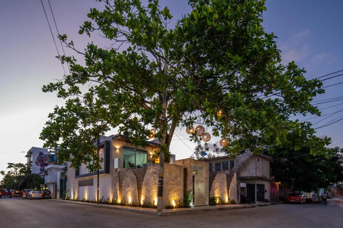 Image 5 of Casa del Arbol