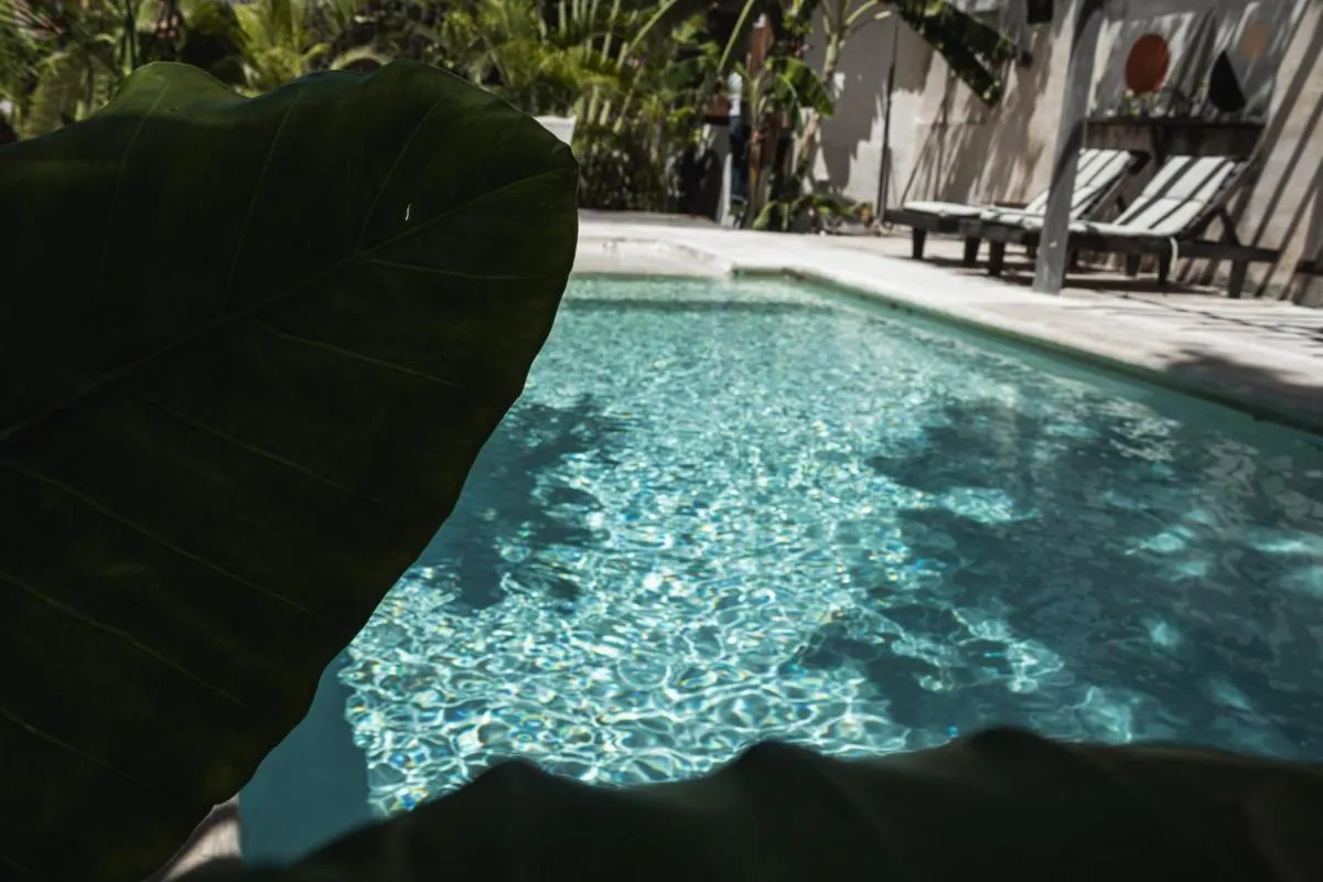 Image 5 of Chill Kanil