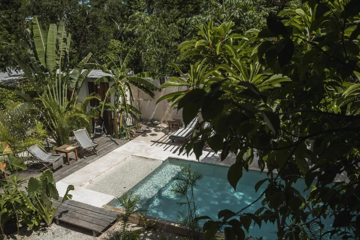 Image 1 of Chill Kanil