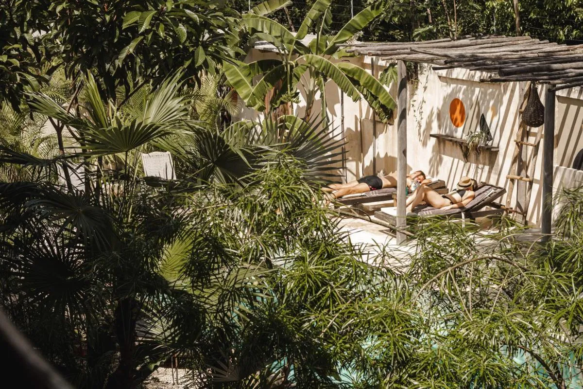 Image 2 of Chill Kanil