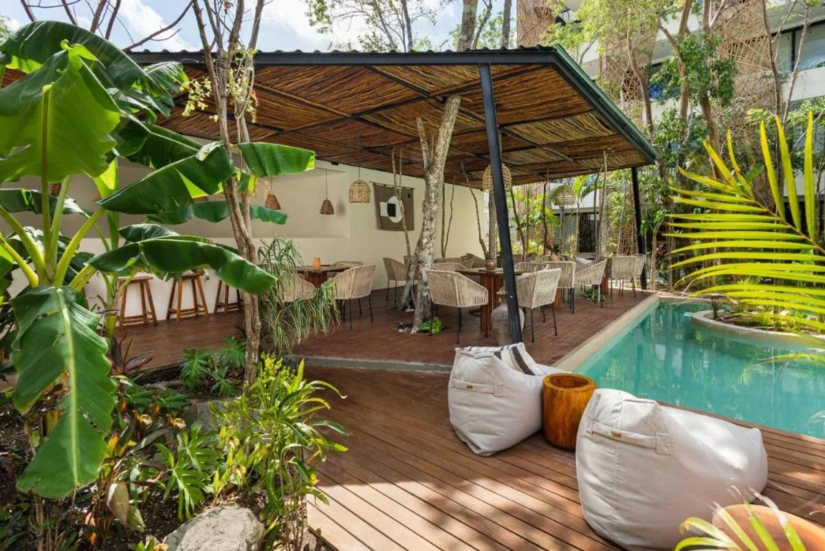 Image 6 of DK JADE 30 By SANDY POWERFUL