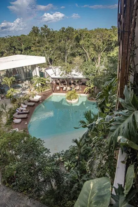 Image 5 of DK JADE 30 By SANDY POWERFUL