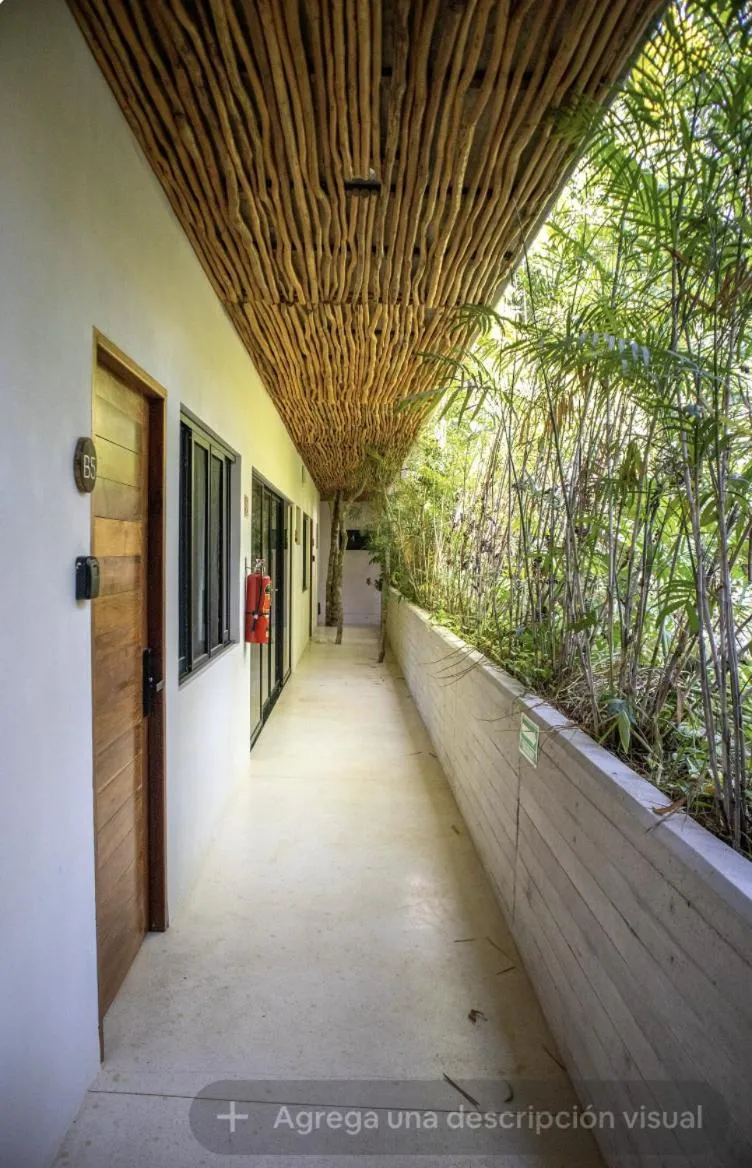 Image 6 of ETNIKA A3 Cómodo Condo Tuluminati entre la Jungla