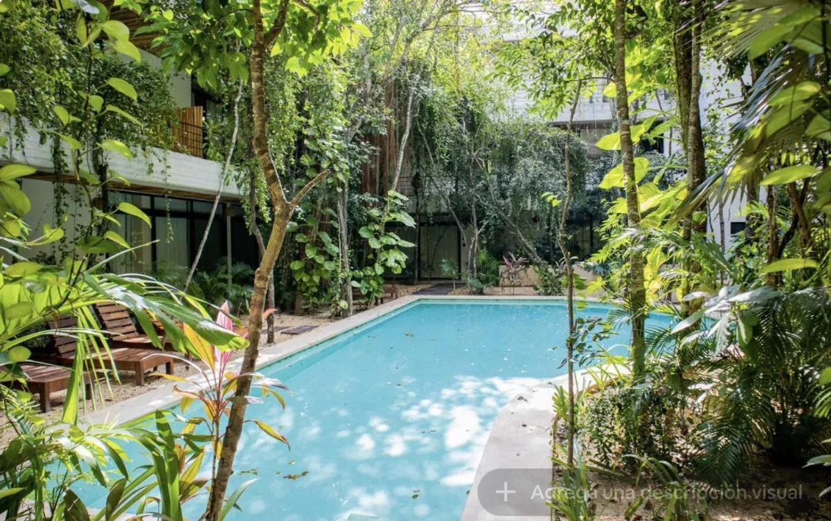 Image 1 of ETNIKA A3 Cómodo Condo Tuluminati entre la Jungla