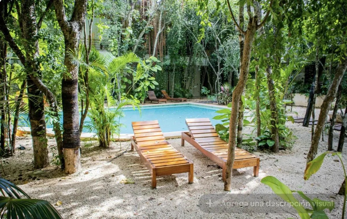 Image of ETNIKA A3 Cómodo Condo Tuluminati entre la Jungla