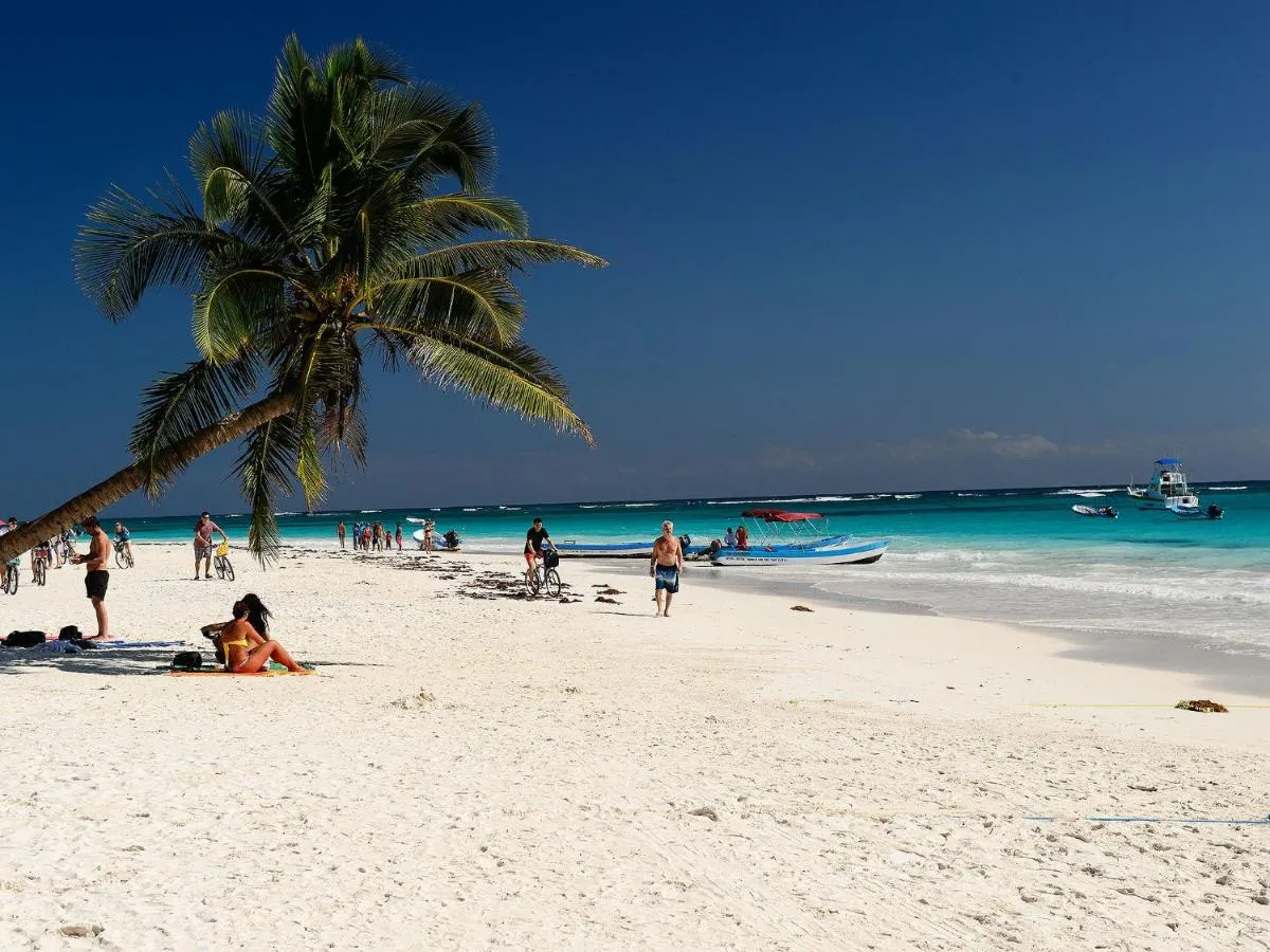 Image 6 of Elegante y moderno Elena 1109