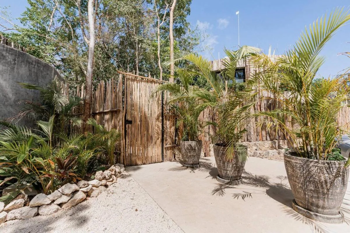 Image 6 of Esencia Zen G10