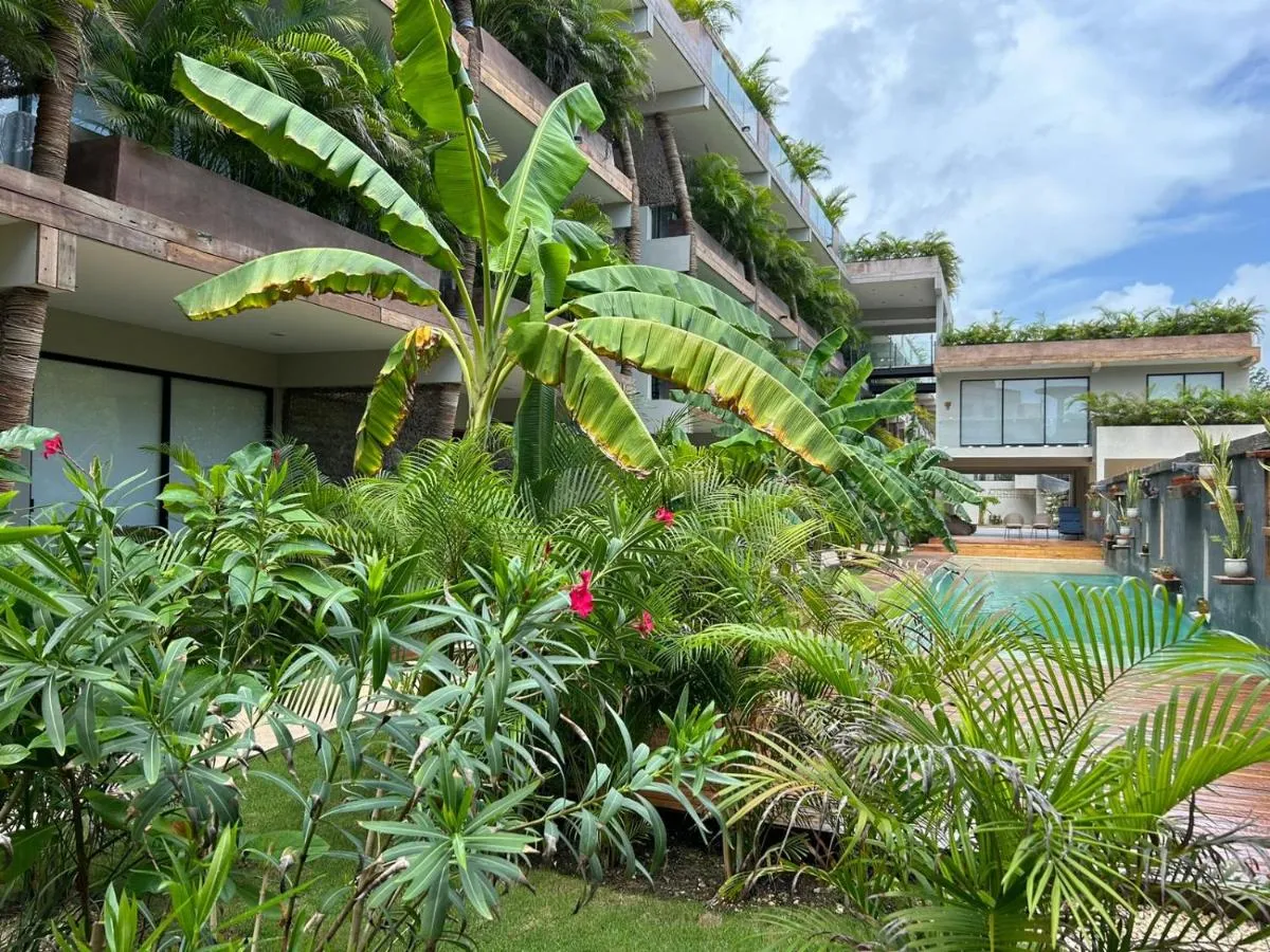 Image 4 of Estudio con Jacuzzi Privado en Xamira