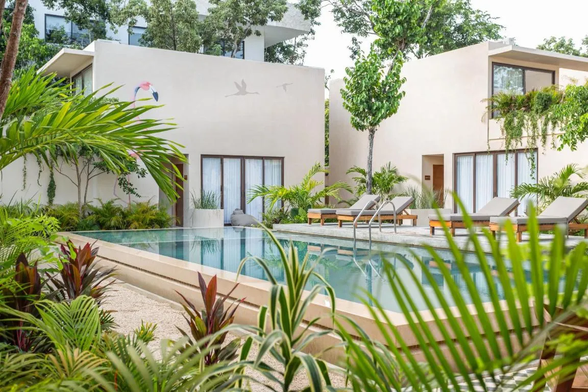 Image of Faisano Nomadas