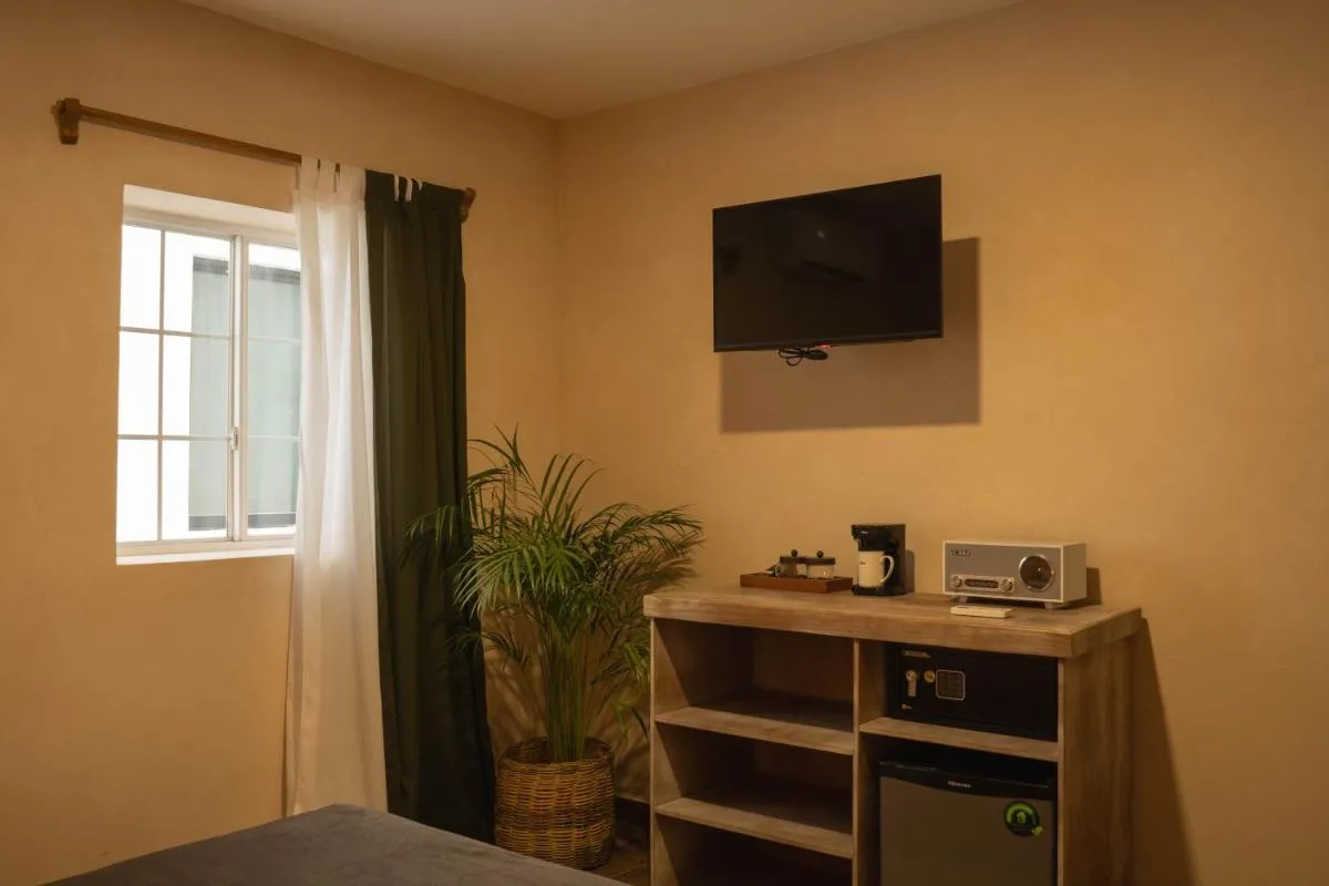 Image 4 of Gardenia Collective