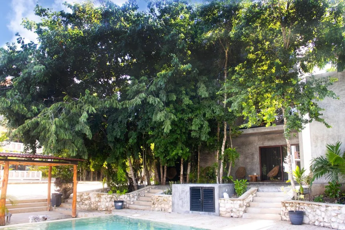 Image 3 of Hotel Casa Tortuga Tulum – Cenotes Park Inclusive