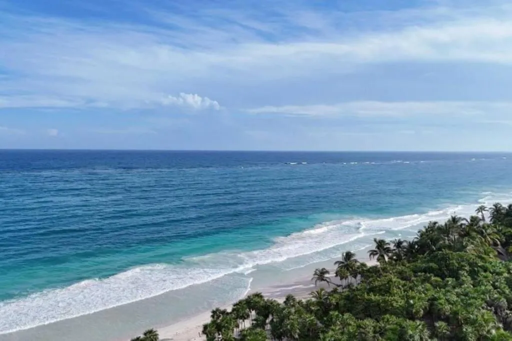 Image 6 of Immers in Nature Jungle Living with Beach Access