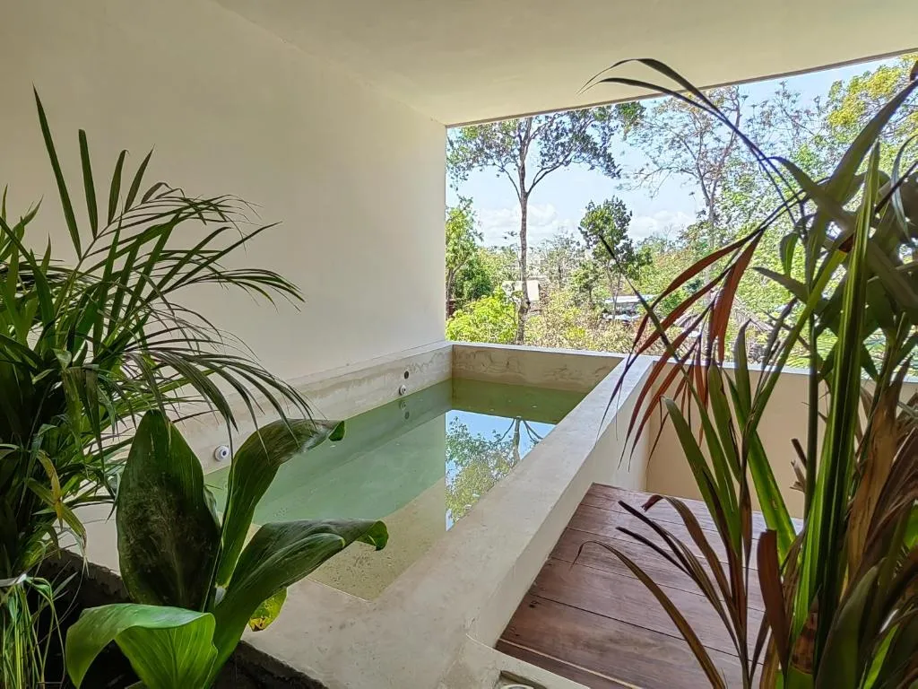Image of Increíble Departamento en la Jungla Private Pool By Yeah