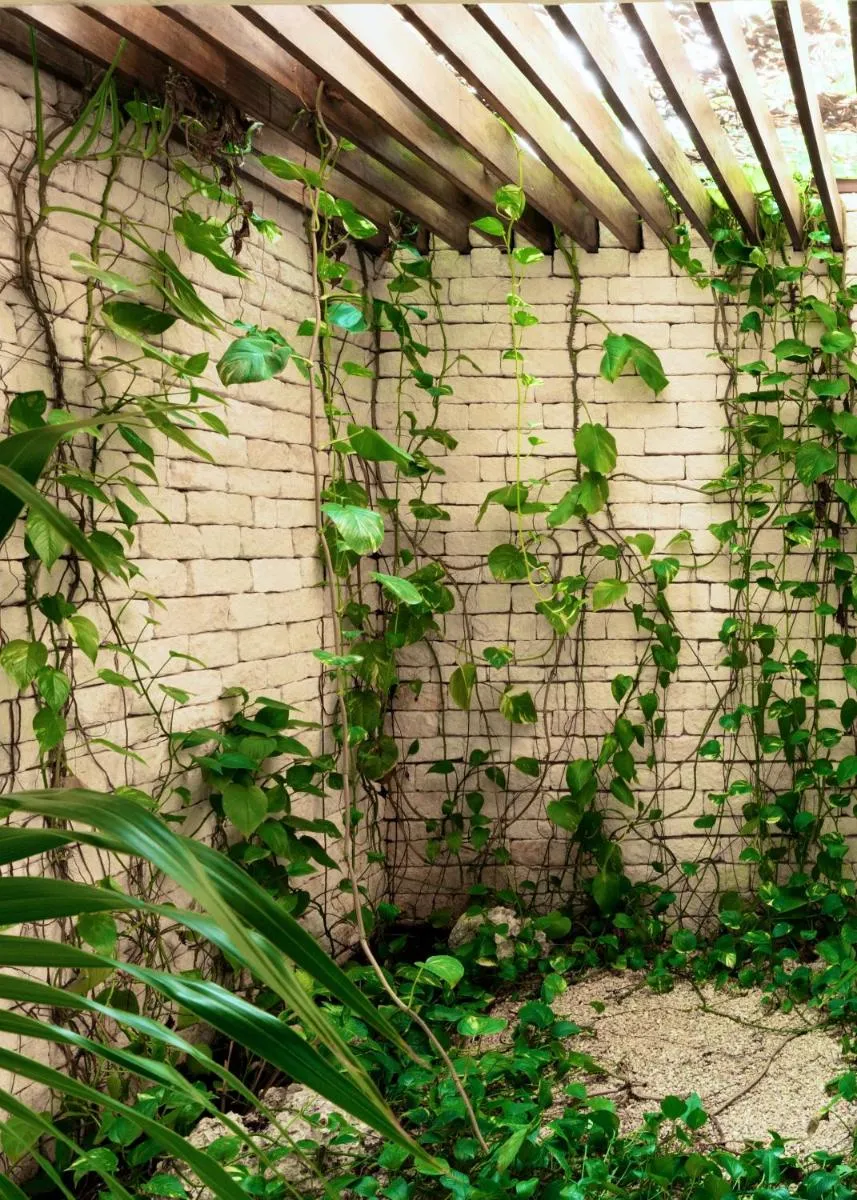 Image 3 of Jungle Keva Tulum Villa Lodges & Venue