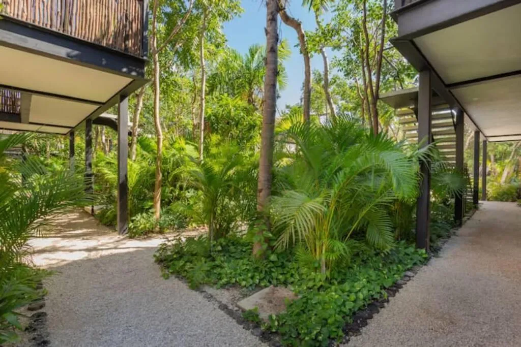 Image 5 of Jungle Penthouse with *Private Plunge Pool*/Aldea Zama