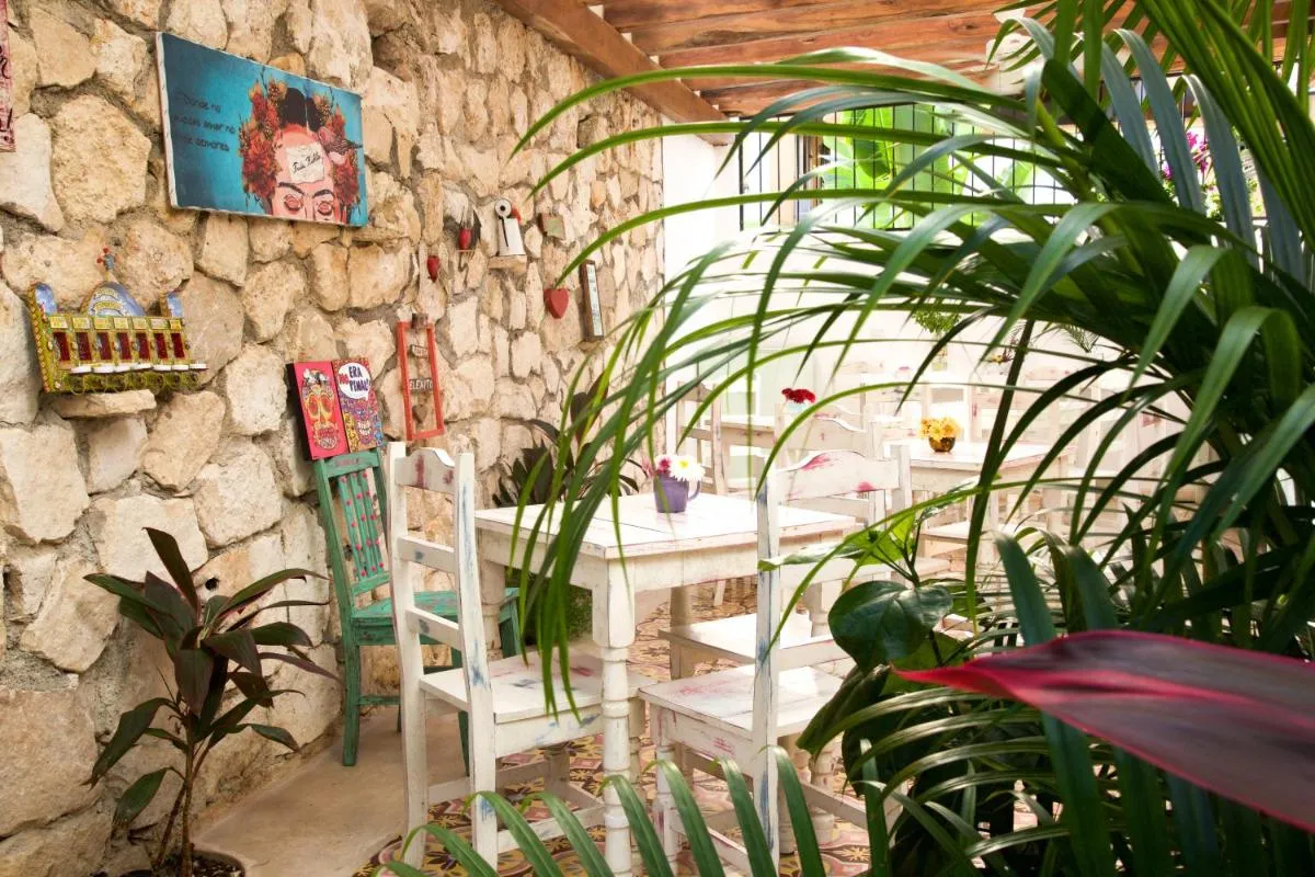 Image 6 of LiveTulum