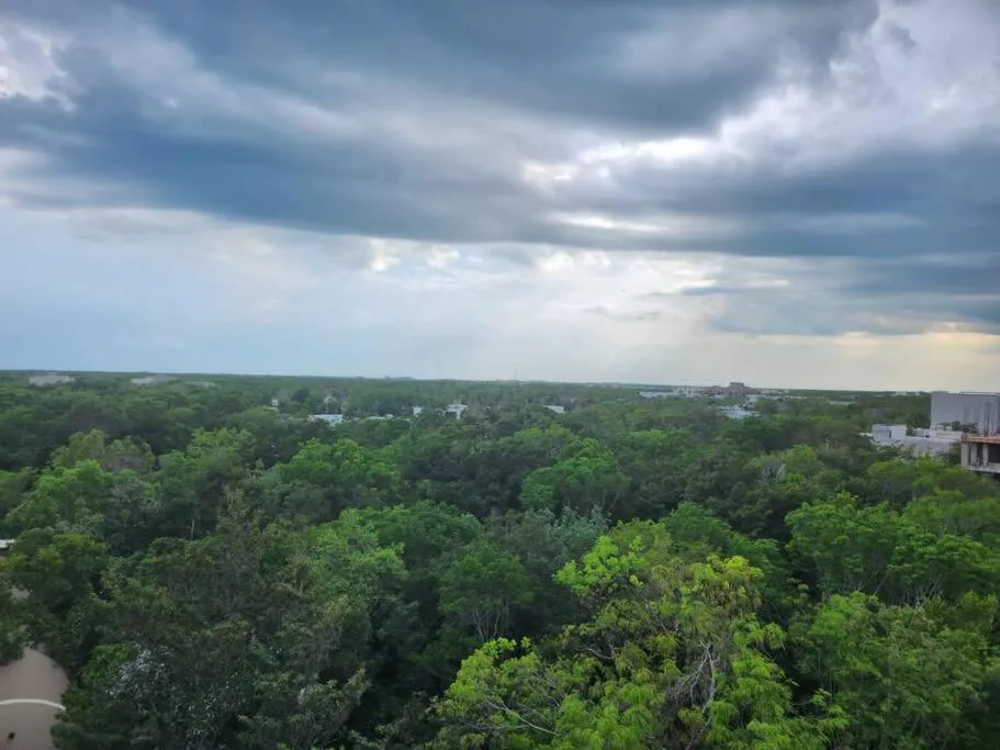 Image 2 of Loft, gym, pool, internet zama