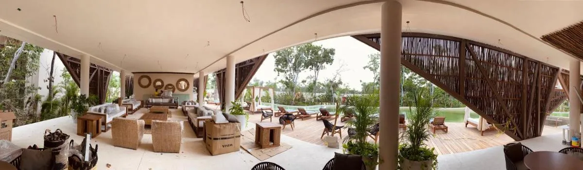 Image 1 of Luxurious Jungle Studio