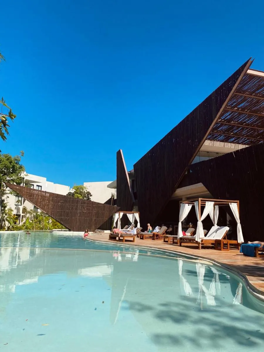 Image 5 of Luxurious Jungle Studio