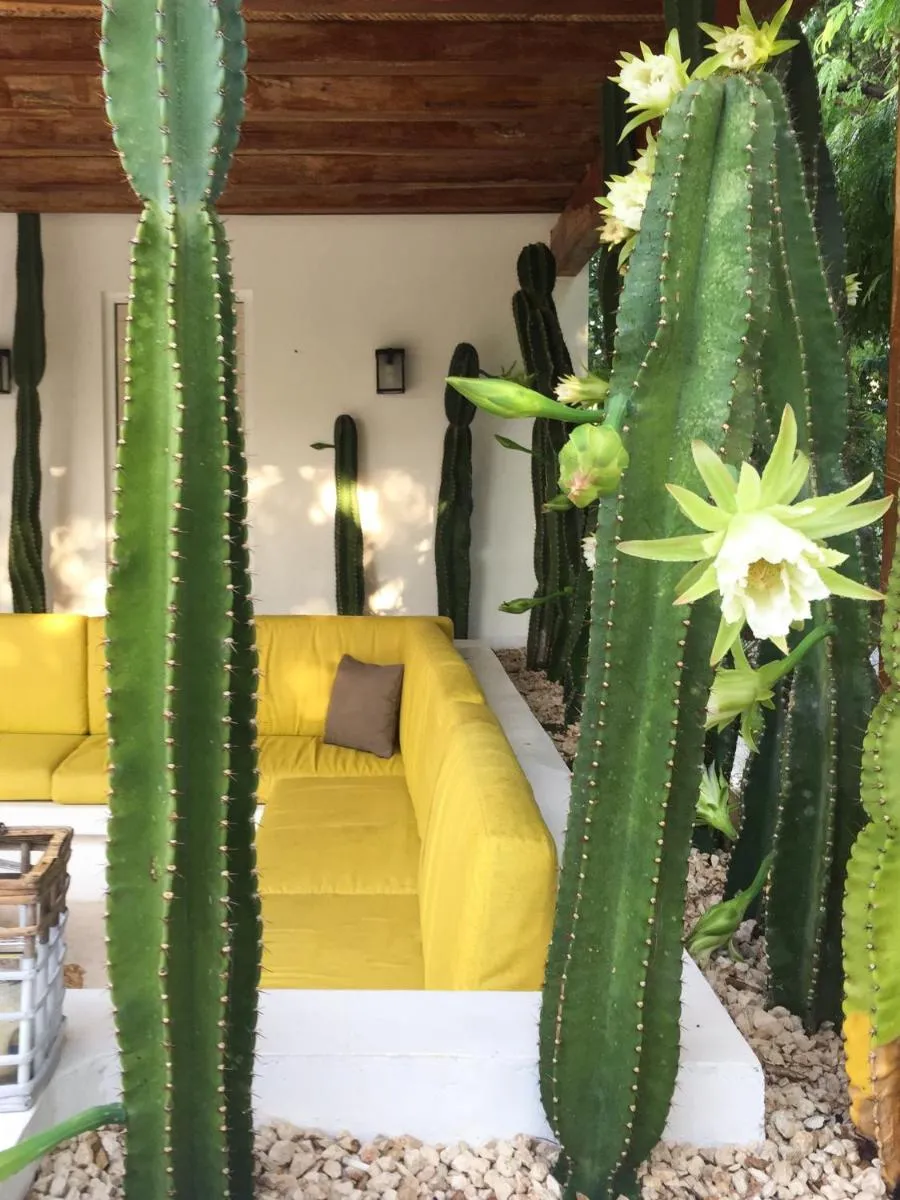 Image 6 of Luxury Private Villas , Private Pool, Private garden, Jacuzzi, 24hours security