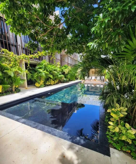 Image 3 of Magic Chukum Tulum Studio