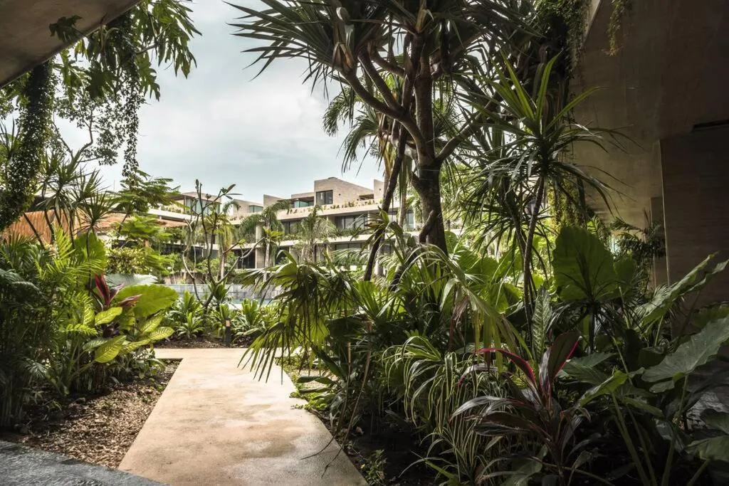 Image 6 of Mistiq Tulum