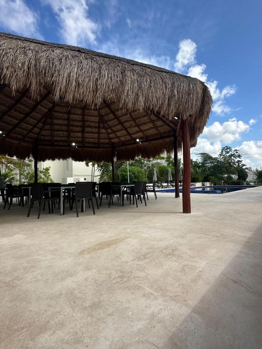 Image 5 of Nare Bokova